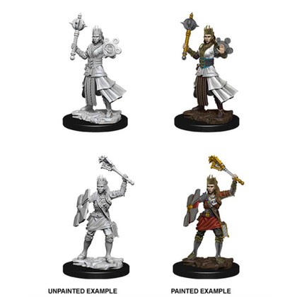 Human Cleric Female W08